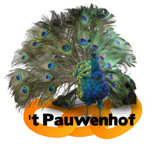cropped-Logo1.png