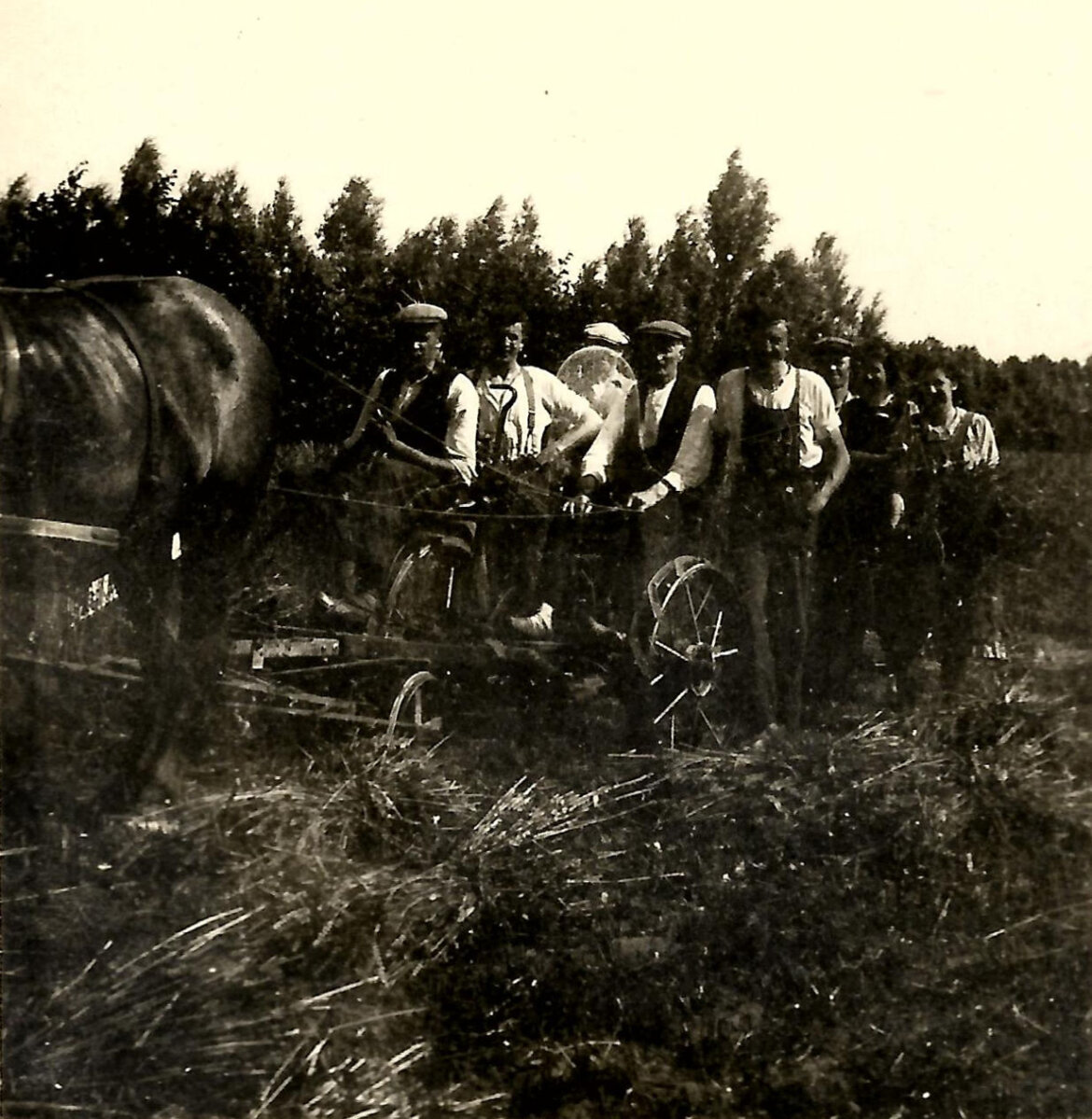 Scan2.jpg